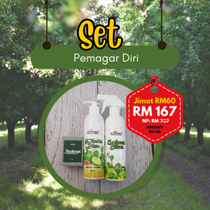 Set Pemagar Diri